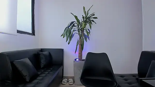 alice greco online show from February 3, 2026, 12:54 pm