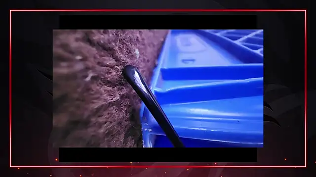 Snapshot of AriellaTaylor chatting on December 11, 2024, 4:42 pm AriellaTaylor online show from December 11, 2024, 4:42 pm