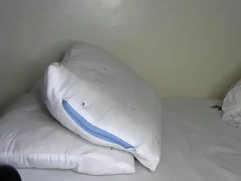 Novah  online show from April 8, 2026, 1:38 am