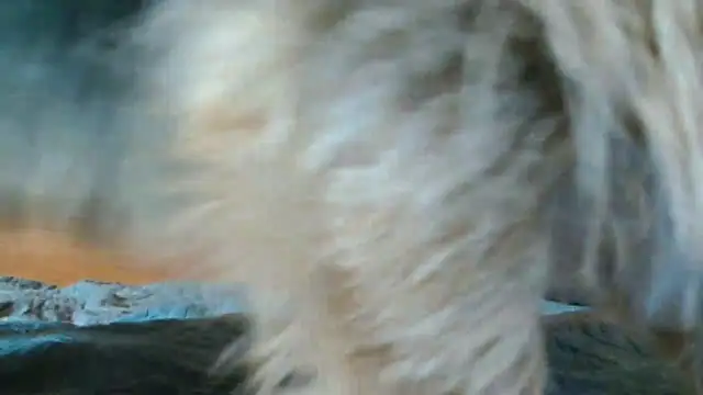 Snapshot of Andra_Love chatting on May 24, 2026, 7:08 pm Andra Love online show from May 24, 2026, 7:08 pm