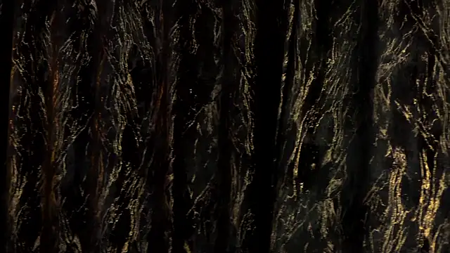 MiaCharm online show from February 24, 2026, 11:47 pm