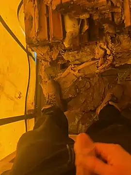 Snapshot of cussy007 chatting on February 12, 2025, 2:43 pm cussy007 online show from February 12, 2025, 2:43 pm