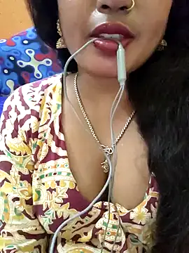 Snapshot of jasss-11 chatting on January 13, 2025, 6:27 pm jasss-11 online show from January 13, 2025, 6:27 pm