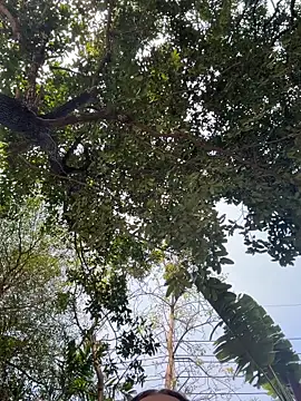 JessiMur online show from February 11, 2026, 3:44 am