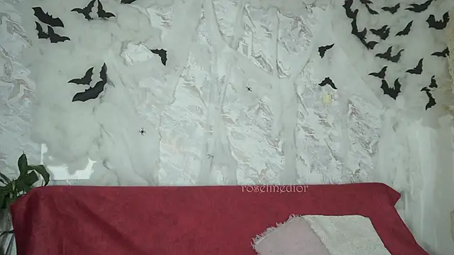 roselinedior online show from October 28, 2025, 1:14 pm