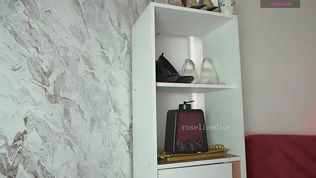 roselinedior online show from April 7, 2026, 2:06 pm