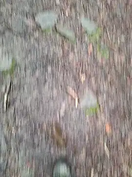 FreezingTie850 online show from March 10, 2026, 2:33 pm