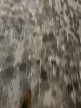 mightgogay online show from February 28, 2025, 4:54 am