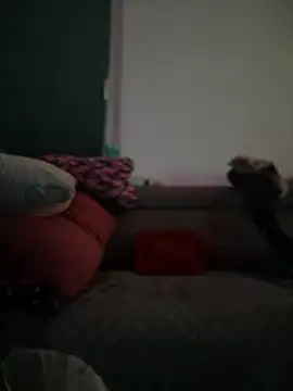 Snapshot of BigBoy420x chatting on February 28, 2025, 5:04 am BigBoy420x online show from February 28, 2025, 5:04 am