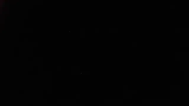 White daisy online show from January 4, 2025, 2:04 pm