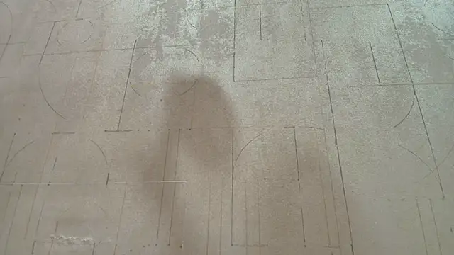 paulinasaeEnz online show from February 26, 2025, 3:30 pm