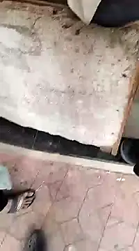 findmemylove online show from December 22, 2024, 7:33 am