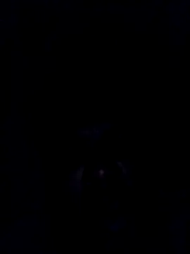 findmemylove online show from December 29, 2024, 8:15 pm