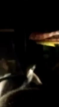 findmemylove online show from January 7, 2025, 7:06 pm