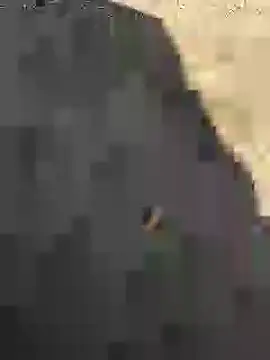 Snapshot of Beijing2000 chatting on January 27, 2025, 5:14 am Beijing2000 online show from January 27, 2025, 5:14 am