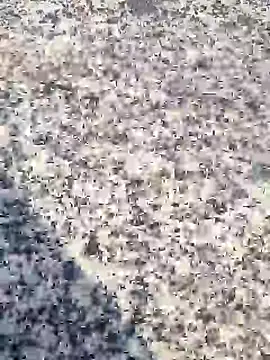 Snapshot of Beijing2000 chatting on January 30, 2025, 12:39 am Beijing2000 online show from January 30, 2025, 12:39 am