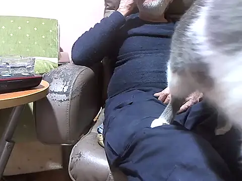 Snapshot of zormen355 chatting on April 7, 2026, 6:30 pm zormen355 online show from April 7, 2026, 6:30 pm