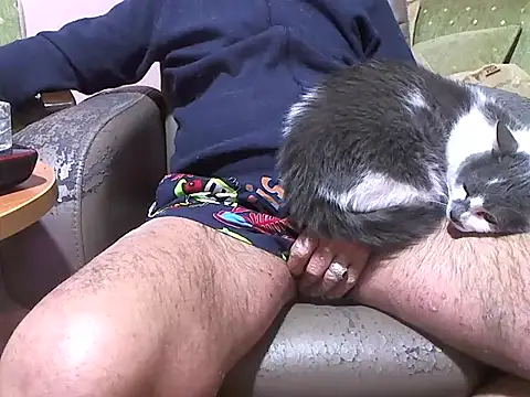 Snapshot of zormen355 chatting on April 8, 2026, 7:47 pm zormen355 online show from April 8, 2026, 7:47 pm