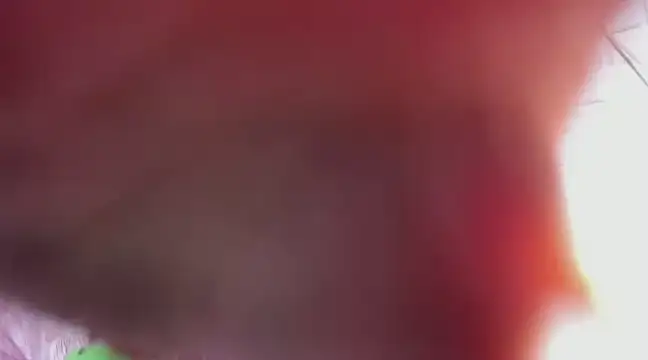 Kimmymadison- online show from March 9, 2025, 6:39 am