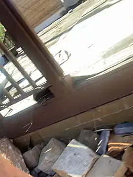 trash4cash online show from February 25, 2025, 7:58 pm