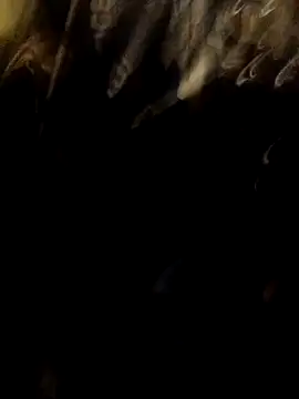 ySqmbVanbe online show from November 17, 2025, 5:24 am