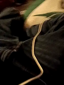 ySqmbVanbe online show from January 7, 2026, 2:14 am