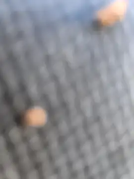 FloppyPickle4u online show from March 7, 2026, 2:36 pm