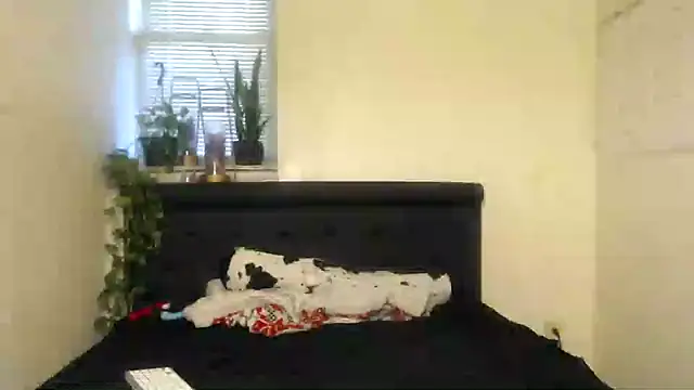 Snapshot of vixenpaisley2 chatting on December 7, 2024, 3:04 am vixenpaisley2 online show from December 7, 2024, 3:04 am