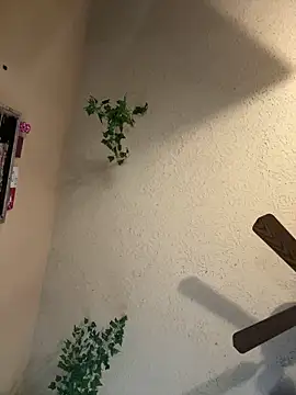 Snapshot of magicalc00ch chatting on March 16, 2025, 9:37 pm magicalc00ch online show from March 16, 2025, 9:37 pm