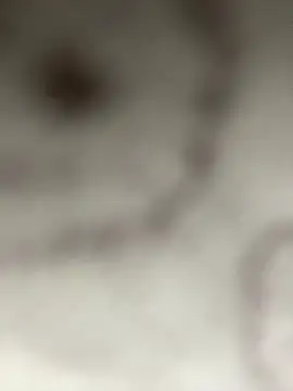 Leyna liu online show from January 11, 2025, 3:13 am