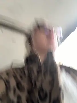 casalinga88 online show from October 21, 2025, 11:11 am