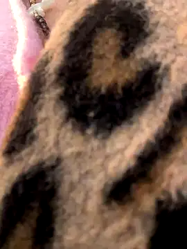 casalinga88 online show from November 7, 2025, 7:19 am