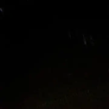 Gifttheskimaskboy online show from February 12, 2026, 1:22 am