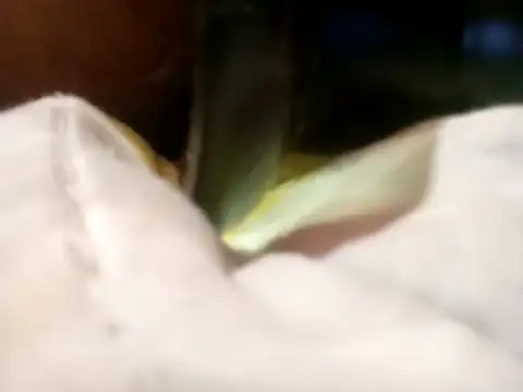 Pcsammy73 online show from November 26, 2025, 10:05 am