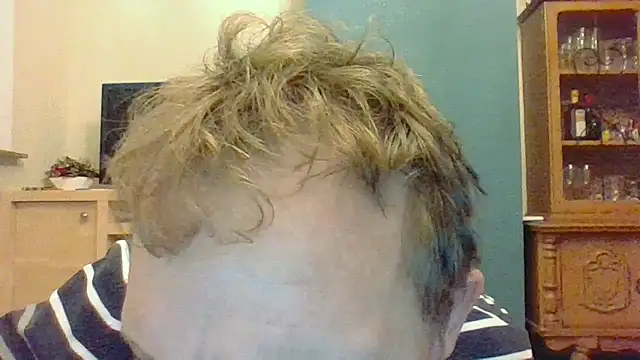 bertolini online show from November 14, 2025, 4:38 pm