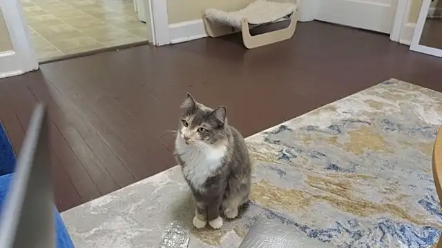 sexylilly69 online show from April 11, 2026, 9:52 pm