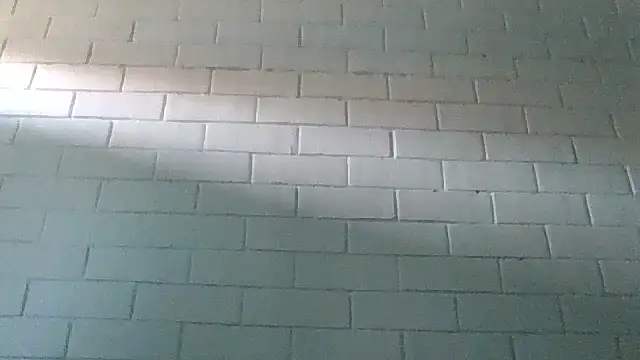 GiveLove1 online show from February 19, 2025, 9:36 pm