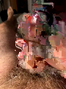 francoers online show from October 16, 2025, 11:17 pm