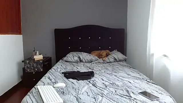 Emilia 1995 online show from February 13, 2025, 12:43 pm