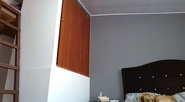 Emilia 1995 online show from February 28, 2025, 12:42 pm