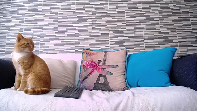 VioletaGomezCo online show from November 5, 2025, 4:29 pm