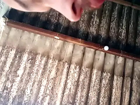 jhonwins01 online show from November 19, 2025, 2:39 pm