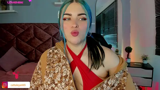 cattaleya    online show from January 16, 2025, 6:25 am