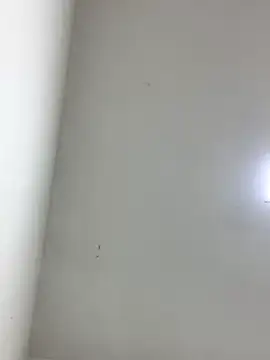 Snapshot of LinnaGardenia chatting on October 1, 2025, 5:41 pm LinnaGardenia online show from October 1, 2025, 5:41 pm