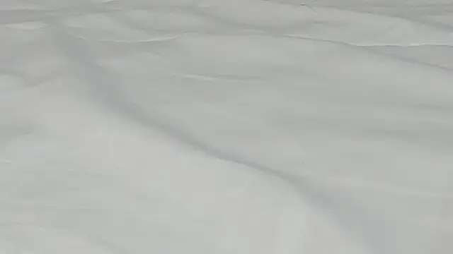 kamila twink sexy online show from March 27, 2026, 2:50 pm