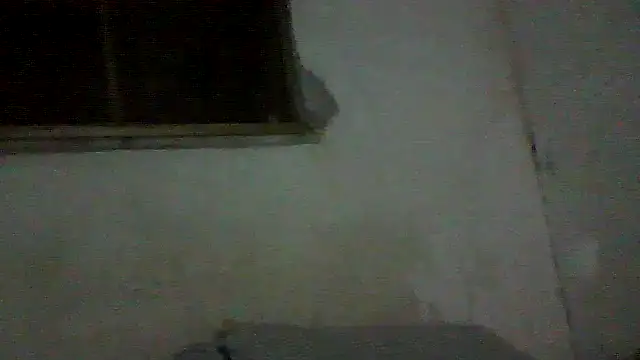Snapshot of PAUBRASILEIRORJ chatting on July 17, 2026, 1:56 am PAUBRASILEIRORJ online show from July 17, 2026, 1:56 am