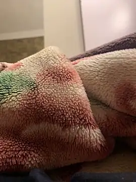 Snapshot of Gengista88 chatting on February 15, 2026, 1:24 am Gengista88 online show from February 15, 2026, 1:24 am