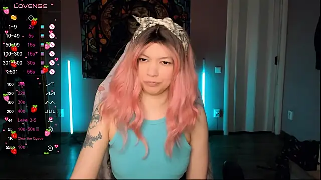 Project hisoka online show from February 4, 2026, 1:55 am