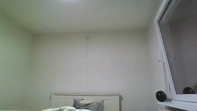 Snapshot of Wesleymodel chatting on February 10, 2026, 7:18 pm Wesleymodel online show from February 10, 2026, 7:18 pm