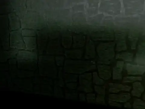 Lilyevansx online show from October 12, 2025, 4:06 pm